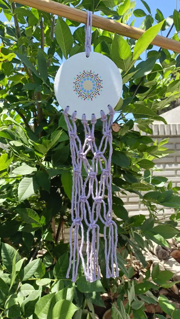 WhatsApp Image 2026-02-12 at 11.07.36.webp