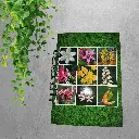 Libreta de Fitoterapias