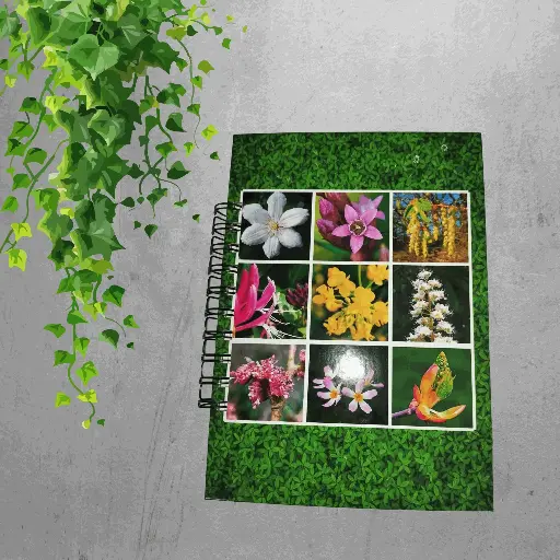 Libreta de Fitoterapias